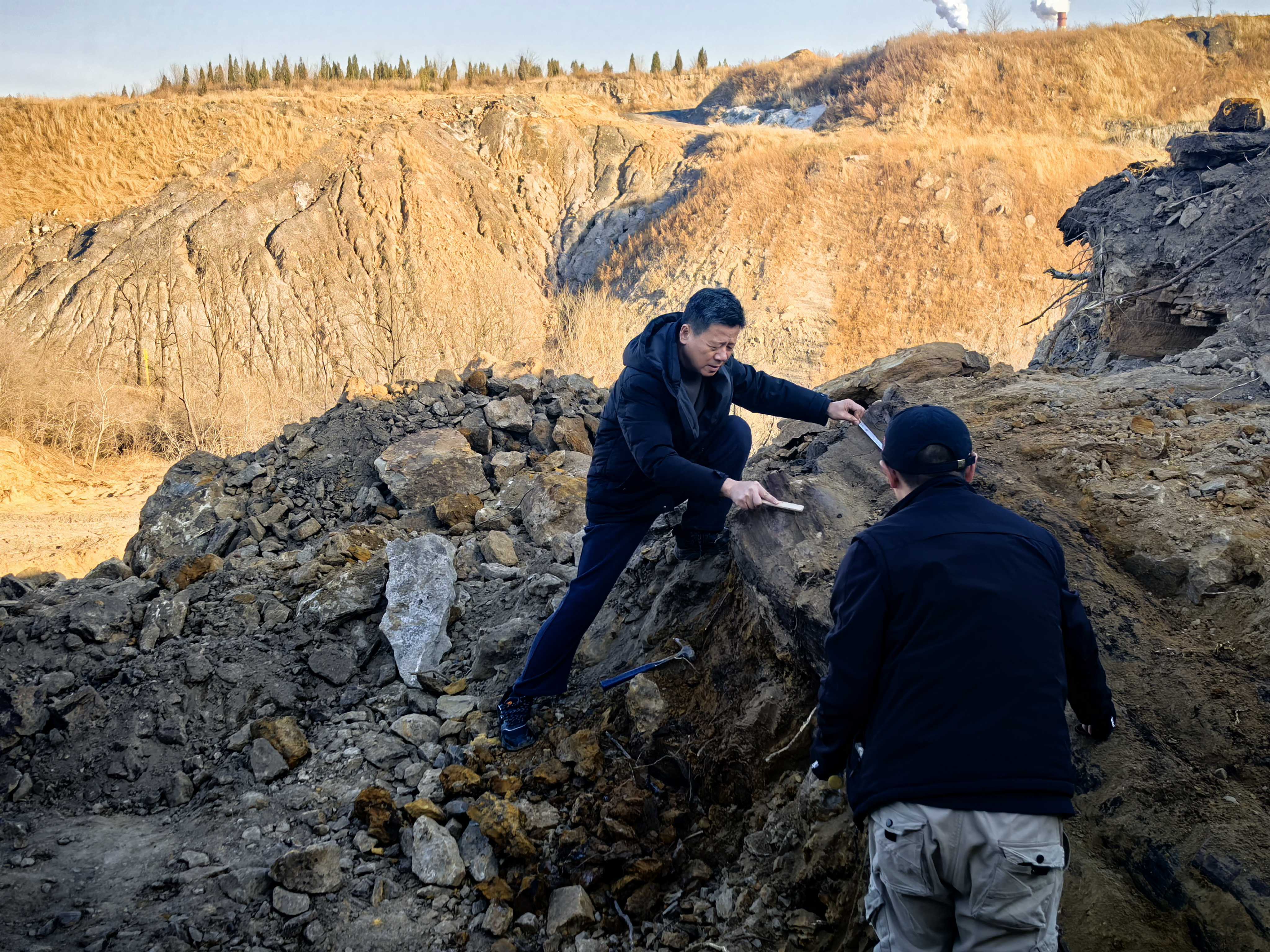 阳泉市太旧高速路改线工程现场发现国家一级重点保护木化石