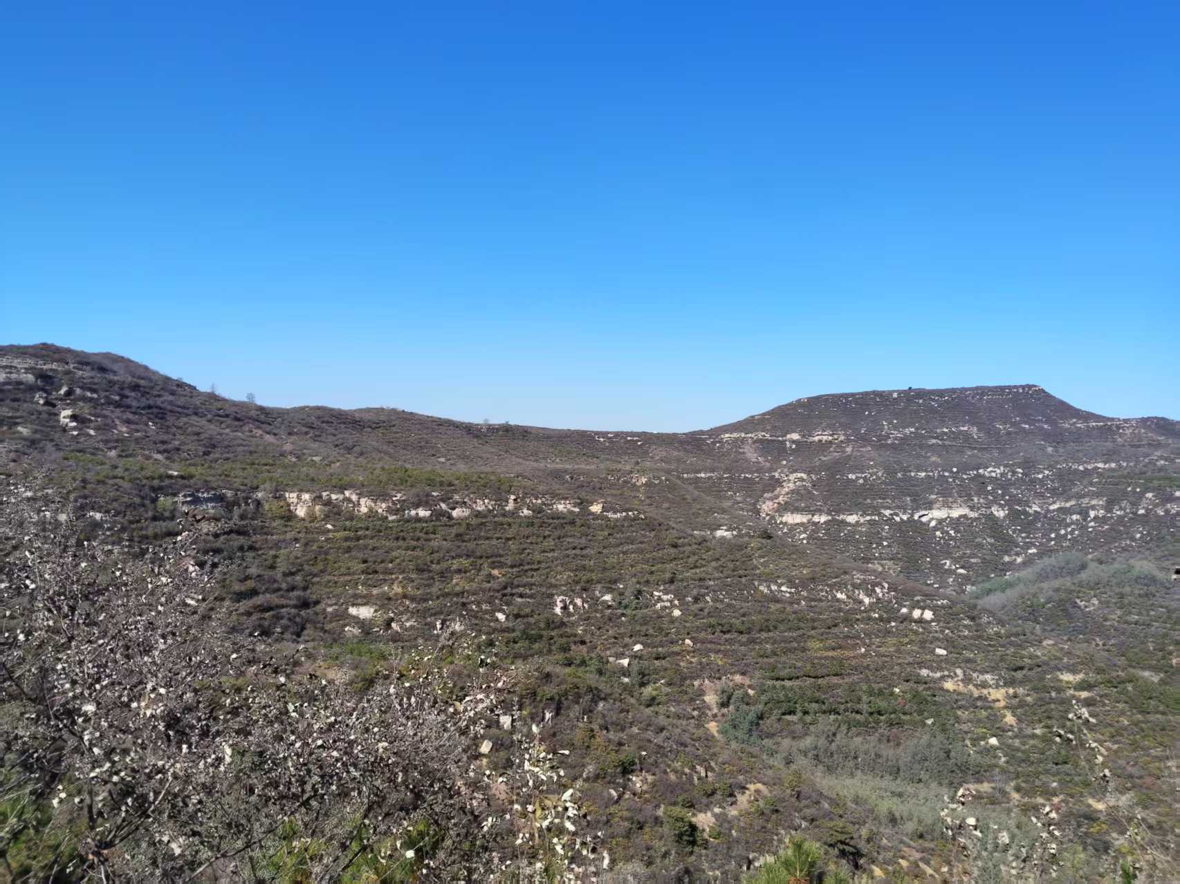 阳泉市郊区5.7万亩国土绿化工程圆满收官