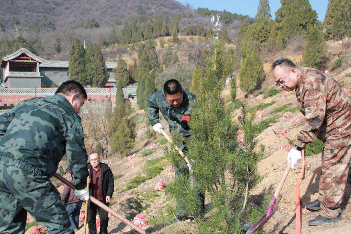 阳泉市规划和自然资源局组织开展2026年义务植树活动