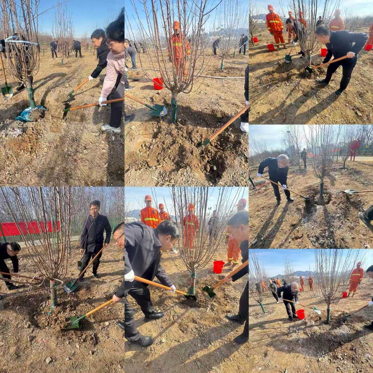 阳泉市盂县四套班子领导开展义务植树活动