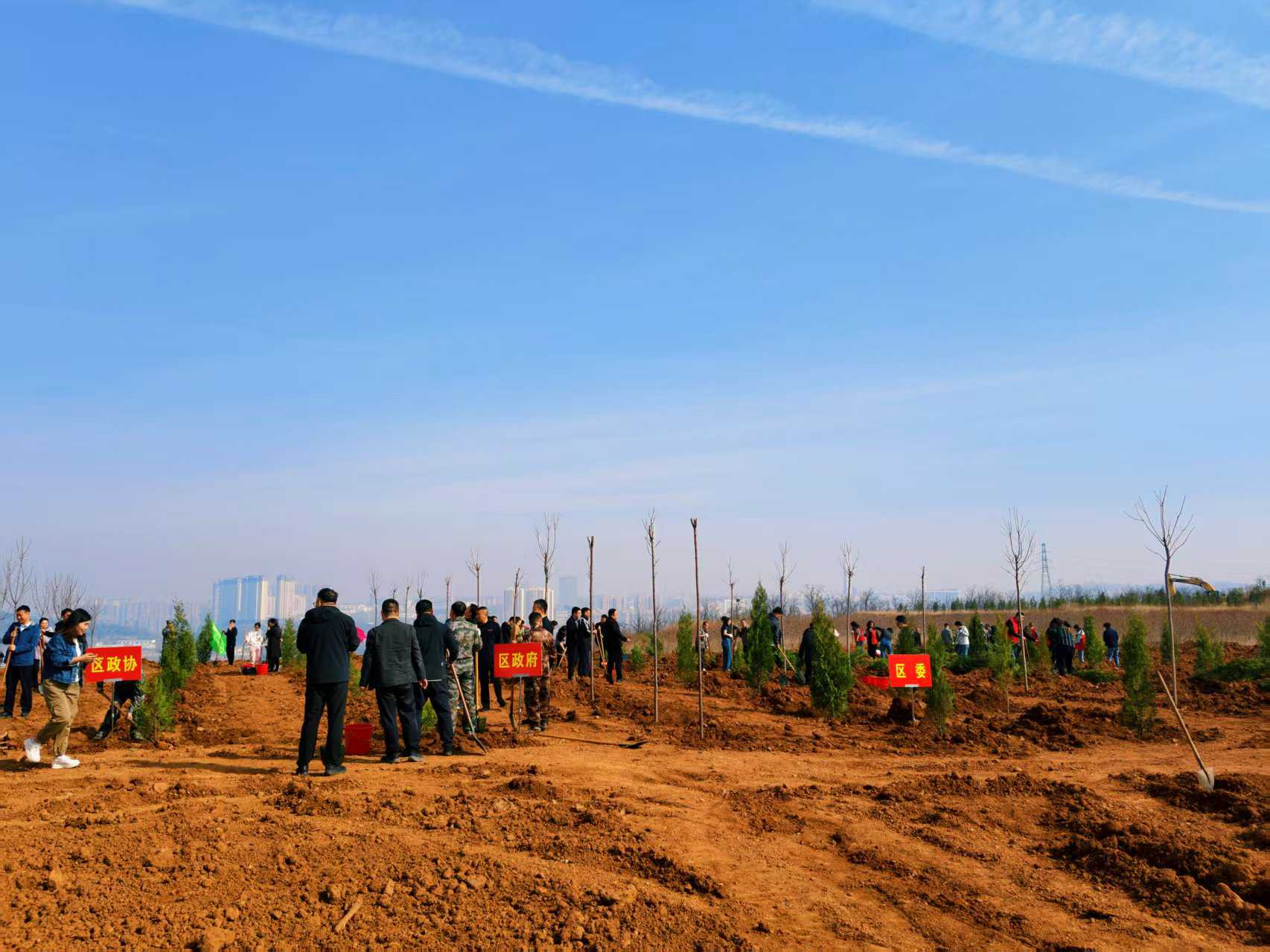 阳泉市城区四大班子领导带头开展义务植树活动