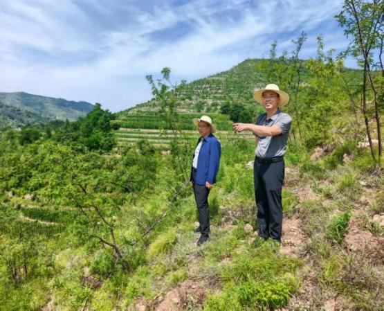 省林草局检查组到平定县督导“三北”工程 “两化”奖补项目建设
